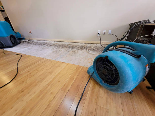 Professional Structural Drying technician working in Coppell, TX